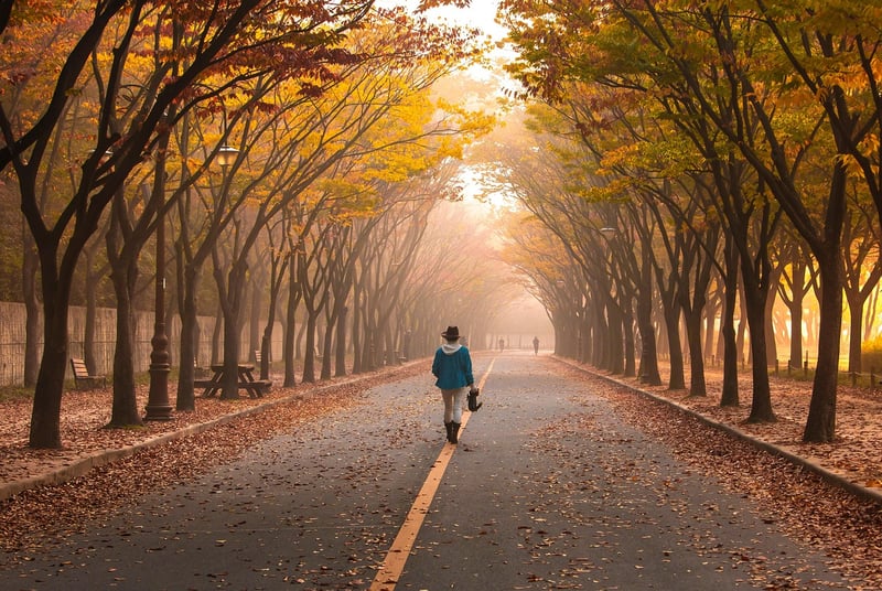 Nature Walks
