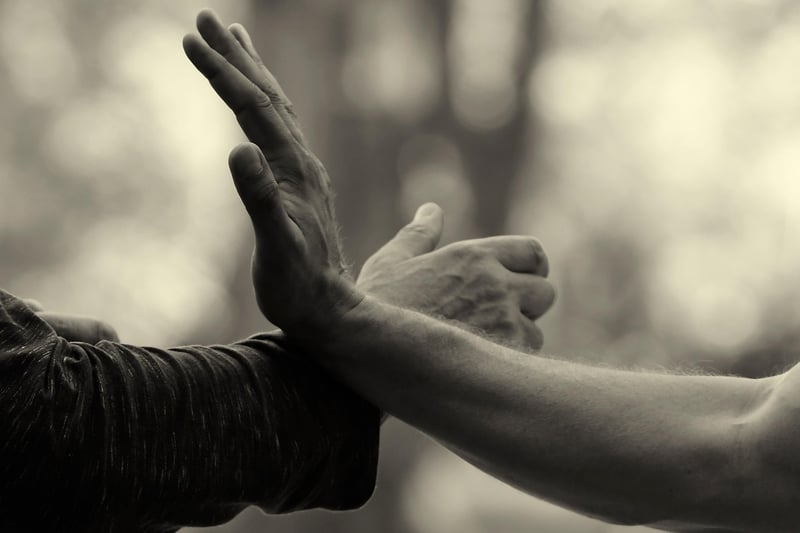 Tai Chi Techniques